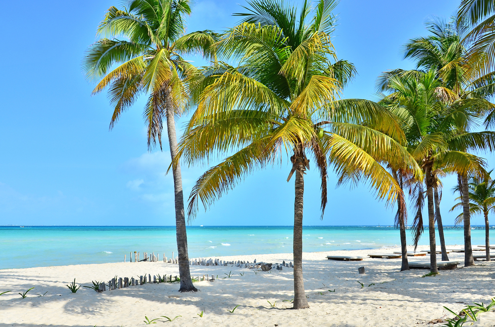 Enjoy The Wonderful Beaches of Isla Mujeres Without Sargassum
